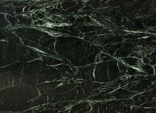 spider green