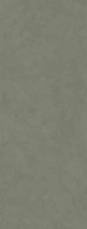 Керамогранит Kerama Marazzi DD070500R Конкрит зеленый светлый матовый обрезной 119.5x320