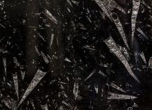 black fossil
